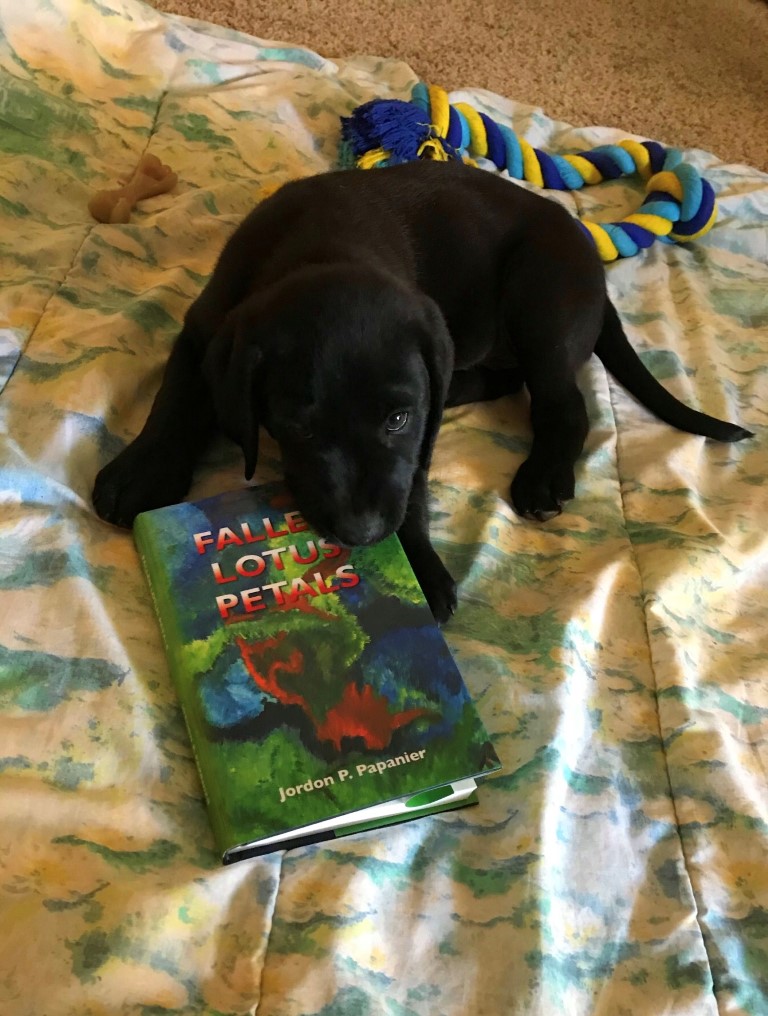 Reading is doggy mental.  book Fallen Lotus Petals #Labrador #novel #books #bookclub #FallenLotusPetals #blacklab